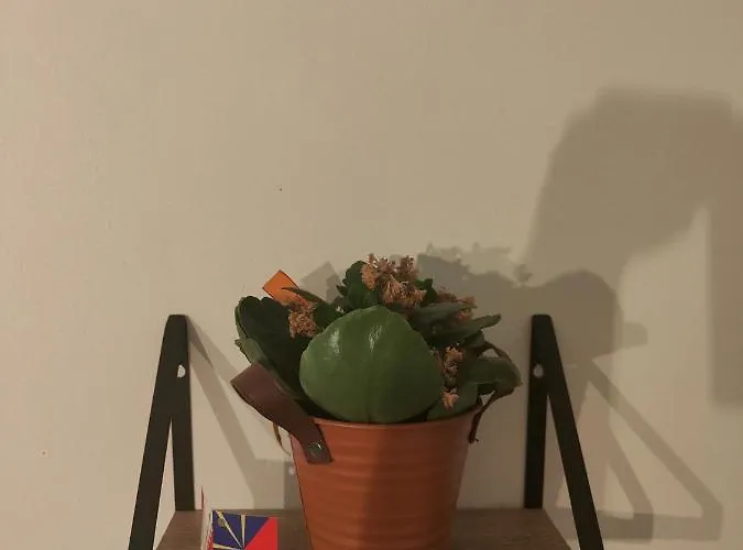 Tres Grand De 76m2 A Apartment