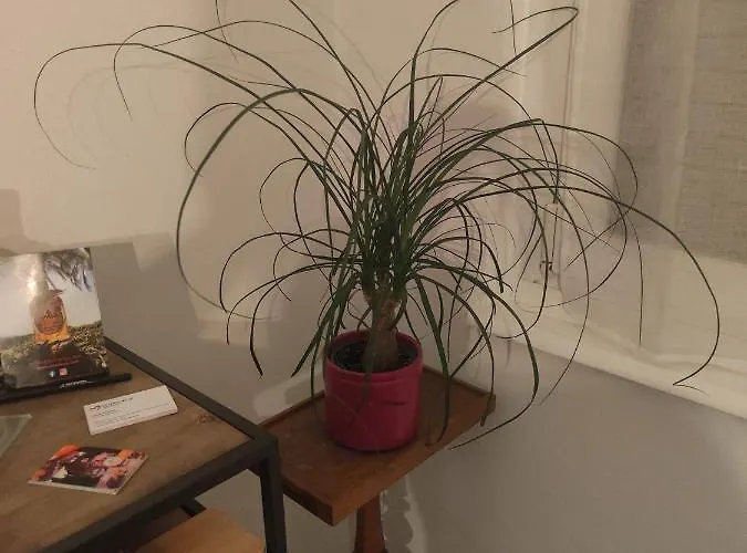 Apartment Tres Grand De 76m2 A *